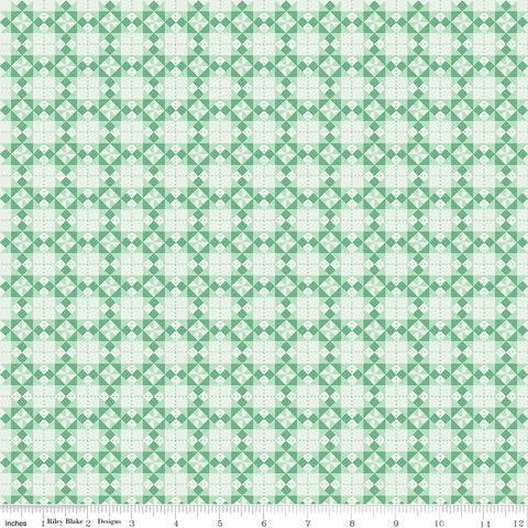 Sweet Acres Mint Barn Quilts Yardage by Beverly McCullough for Riley Blake Designs