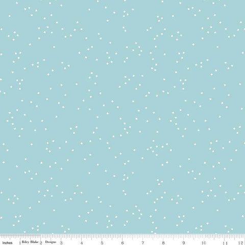 Blossom Aqua Yardage by Christopher Thompson for Riley Blake Designs