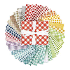 Bee Ginghams Fat Quarter Bundle by Lori Holt for Riley Blake Designs