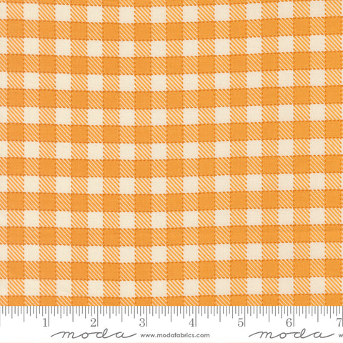 Animal Park Fun Canary Baby Check Yardage by Stacy Iest Hsu for Moda Fabrics