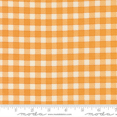 Animal Park Fun Canary Baby Check Yardage by Stacy Iest Hsu for Moda Fabrics