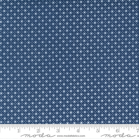 BOLT END 10"  Morning Light Bluebird Beds and Borders Yardage by Linzee McCray for Moda Fabrics