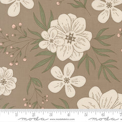 Potted Ash Star Bloom Yardage by Kiley's Quilt Room for Moda Fabrics