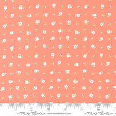 Peachy Keen Coral Pixie Yardage by Corey Yoder for Moda Fabrics