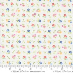 Cali & Co. Cloud Multi Cameo Yardage by Corey Yoder for Moda Fabrics