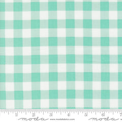 Coriander Colors Aqua Gingham Yardage by Corey Yoder for Moda Fabrics