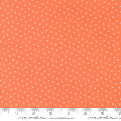 Coriander Colors Orange Xs Yardage by Corey Yoder for Moda Fabrics