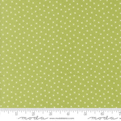 Coriander Colors Green Xs Yardage by Corey Yoder for Moda Fabrics