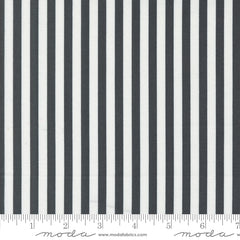 Coriander Colors Black Stripe Yardage by Corey Yoder for Moda Fabrics