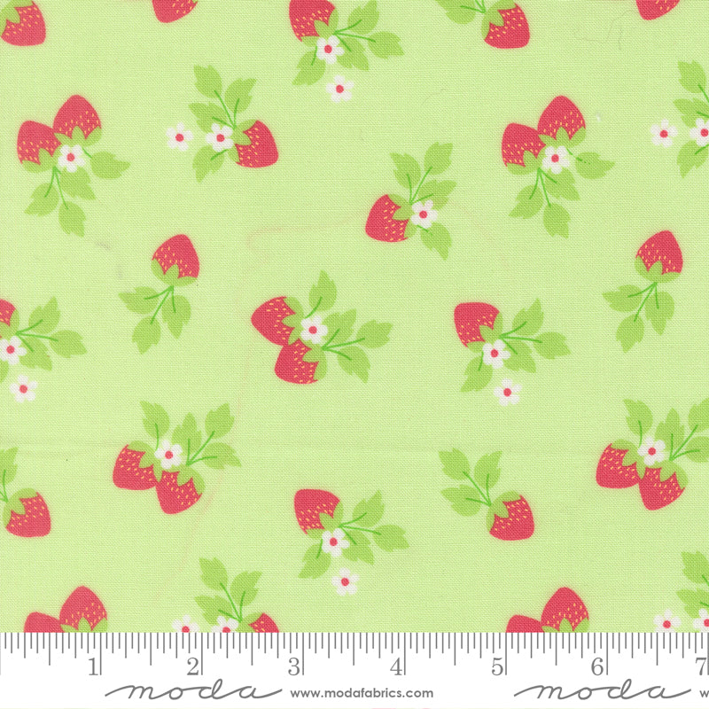 Fruit Salad Melon Strawberries Yardage by Corey Yoder for Moda Fabrics