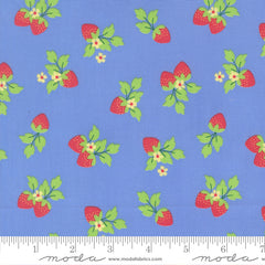 Fruit Salad Sky Strawberries Yardage by Corey Yoder for Moda Fabrics