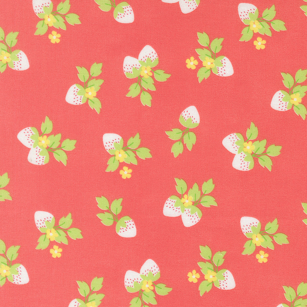 Backing Kit Strawberries from the Fruit Salad collection by Corey Yoder