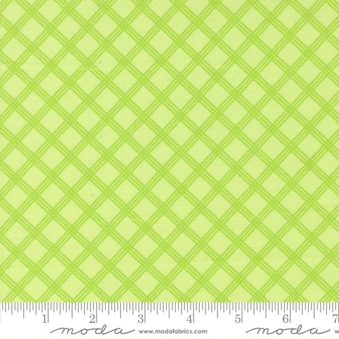 Joysome Honeydew Charming Check Yardage by Corey Yoder for Moda Fabrics