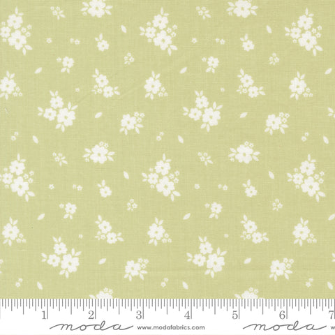 Pastel Prairie Pear Bloomers Yardage by Heather Briggs for Moda Fabrics