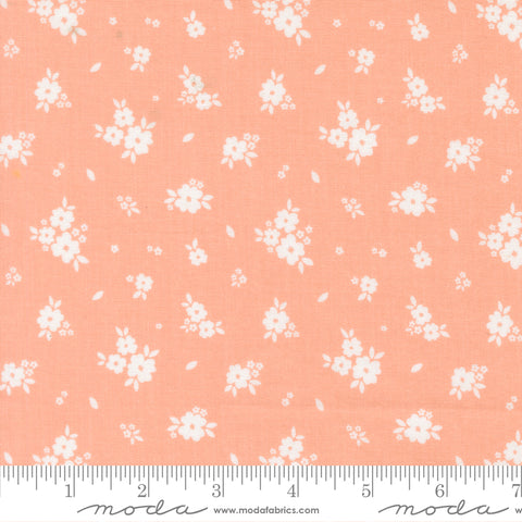 Pastel Prairie Jovial Bloomers Yardage by Heather Briggs for Moda Fabrics