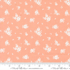 Pastel Prairie Jovial Bloomers Yardage by Heather Briggs for Moda Fabrics
