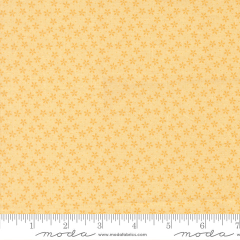 Pastel Prairie Sunshine Colander Yardage by Heather Briggs for Moda Fabrics