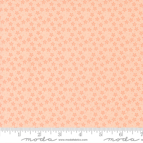 Pastel Prairie Petal Colander Yardage by Heather Briggs for Moda Fabrics