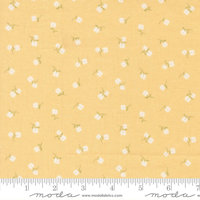 Pastel Prairie Afternoon Tinys Yardage by Heather Briggs for Moda Fabrics