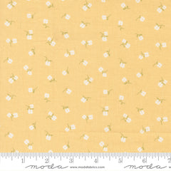 Pastel Prairie Afternoon Tinys Yardage by Heather Briggs for Moda Fabrics