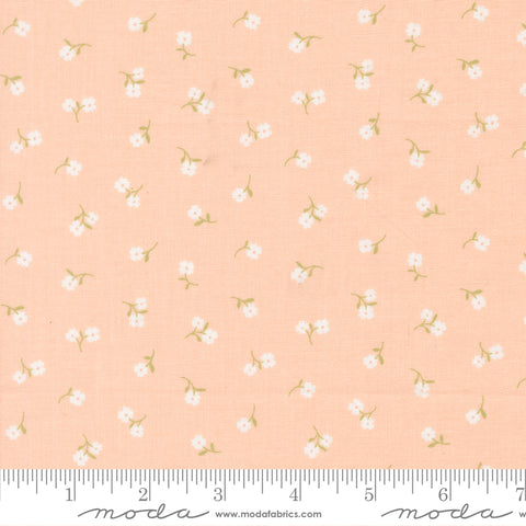 Pastel Prairie Petal Tinys Yardage by Heather Briggs for Moda Fabrics