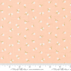 Pastel Prairie Petal Tinys Yardage by Heather Briggs for Moda Fabrics
