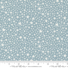 Play Ball Dolphin Super Stars Yardage by Stacy Iest Hsu for Moda Fabrics