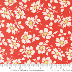 Summer's End Persimmon Cosmos Yardage by Fig Tree & Co. for Moda Fabrics