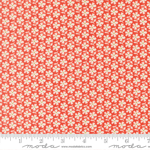 Summer's End Persimmon Daisies Yardage by Fig Tree & Co. for Moda Fabrics