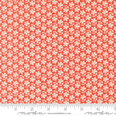 Summer's End Persimmon Daisies Yardage by Fig Tree & Co. for Moda Fabrics