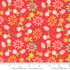 Raspberry Summer Raspberry Spring Berries Yardage by Sherri & Chelsi for Moda Fabrics