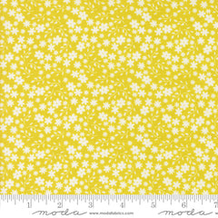 Raspberry Summer Summer Blossom Yardage by Sherri & Chelsi for Moda Fabrics