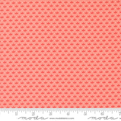 Raspberry Summer Carnation Sprout Yardage by Sherri & Chelsi for Moda Fabrics