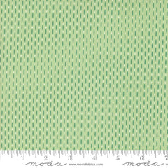 Raspberry Summer Mint Beaded Yardage by Sherri & Chelsi for Moda Fabrics