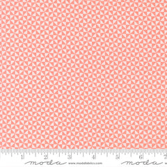 Delightfully Yours Carnation Pinwheel Yardage by Sherri & Chelsi for Moda Fabrics