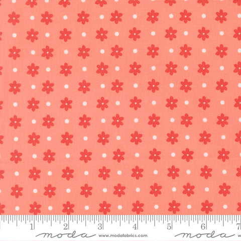 Poinsettia & Pear Carnation Daisy Dot Yardage by Sherri & Chelsi for Moda Fabrics