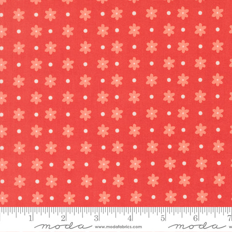Poinsettia & Pear Geranium Daisy Dot Yardage by Sherri & Chelsi for Moda Fabrics