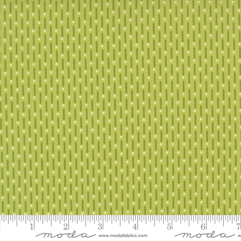 Poinsettia & Pear Pistachio Candy Stripe Yardage by Sherri & Chelsi for Moda Fabrics