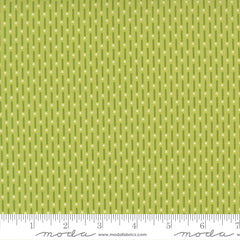 Poinsettia & Pear Pistachio Candy Stripe Yardage by Sherri & Chelsi for Moda Fabrics
