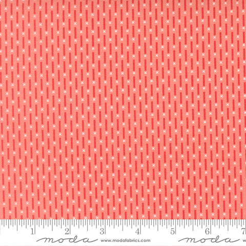 Poinsettia & Pear Carnation Candy Stripe Yardage by Sherri & Chelsi for Moda Fabrics