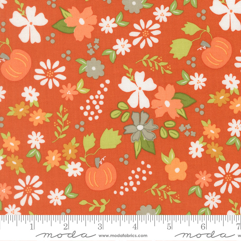 Birch & Willow Spice Pumpkin Patch Yardage by Sherri & Chelsi for Moda Fabrics