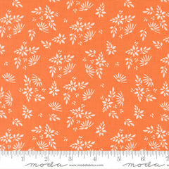 Birch & Willow Pumpkin Flora Yardage by Sherri & Chelsi for Moda Fabrics