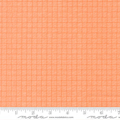 Birch & Willow Pumpkin Crosshatch Yardage by Sherri & Chelsi for Moda Fabrics