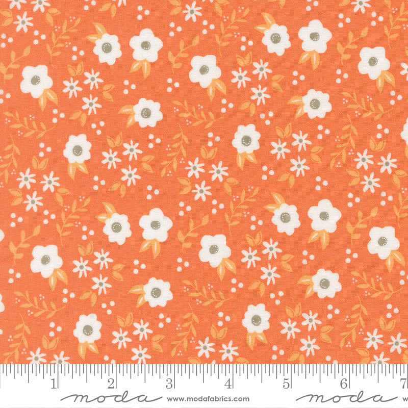 Birch & Willow Pumpkin Mums Yardage by Sherri & Chelsi for Moda Fabrics
