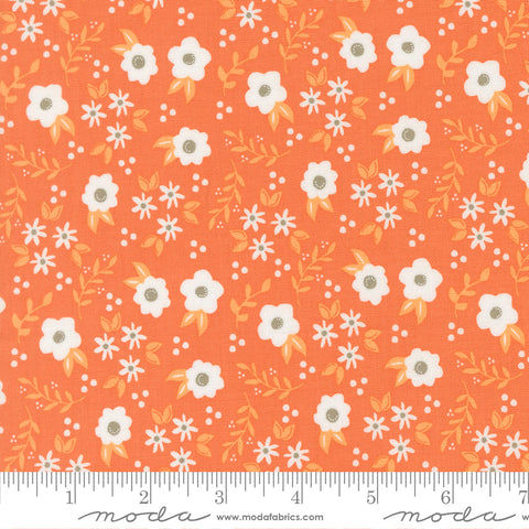 Birch & Willow Pumpkin Mums Yardage by Sherri & Chelsi for Moda Fabrics