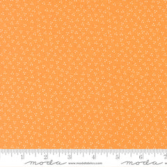 Birch & Willow Amber Spring Dot Yardage by Sherri & Chelsi for Moda Fabrics