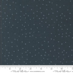 Rainier Deep Sea Puddle Jumpers Yardage by Jessica Rose for Moda Fabrics
