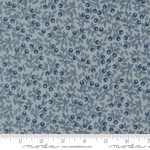 Nature's Sketchbook Pebbley Sky Blueberry Yardage by Elena Amo for Moda Fabrics
