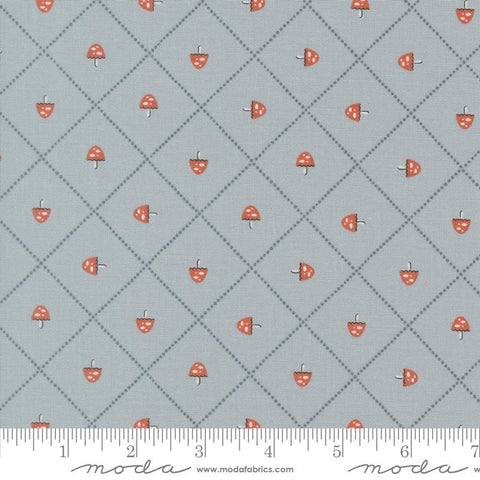 Nature's Sketchbook Sky Mushroom and Grid Yardage by Elena Amo for Moda Fabrics