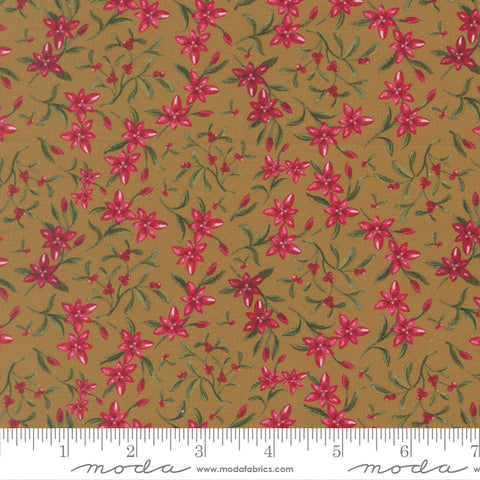 Silent Night North Sage Star of Bethlehem Yardage by Watercolour Heart for Moda Fabrics